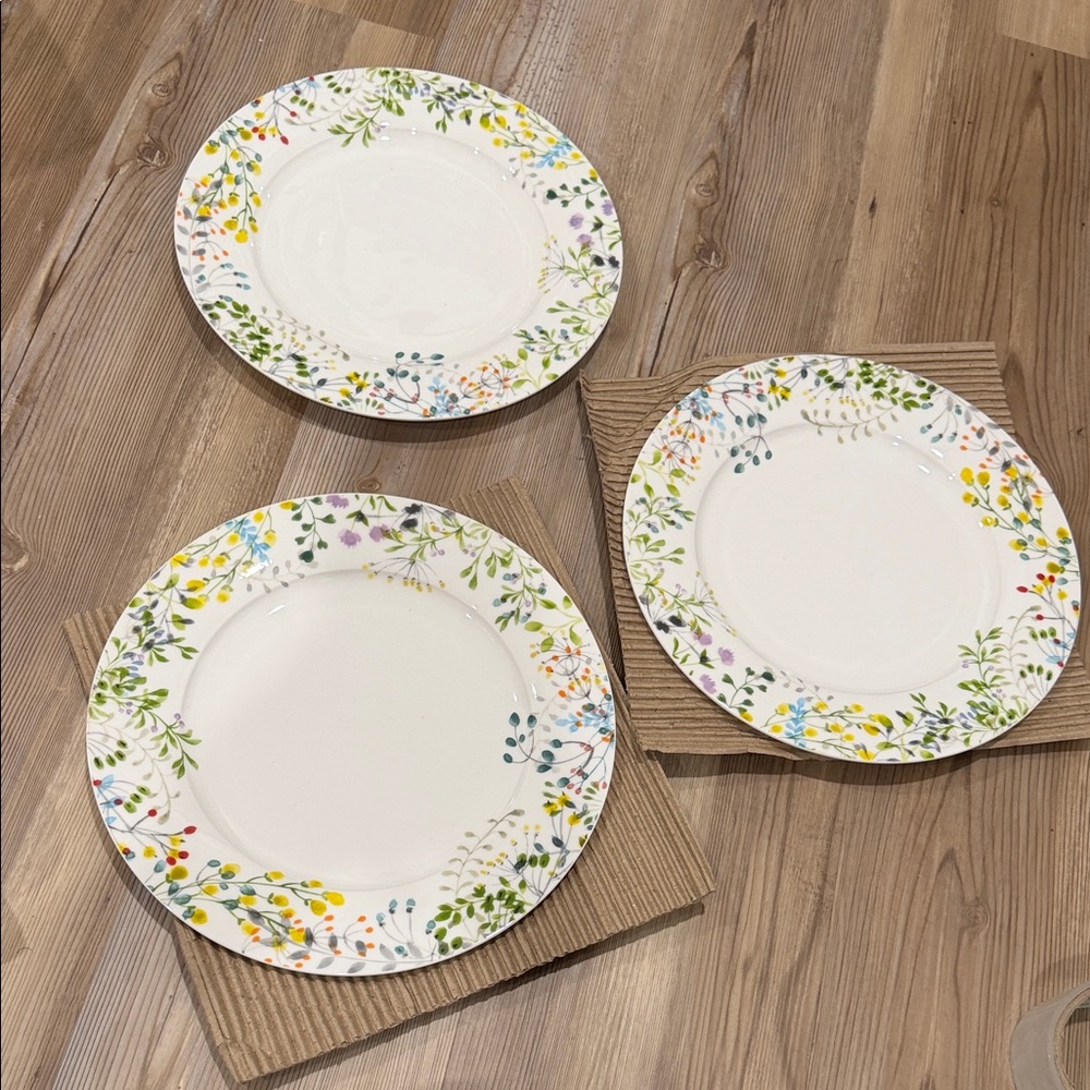 Mikasa tivoli garden  Dinner Plates - Set of 3